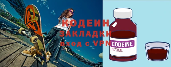 гашик Тында