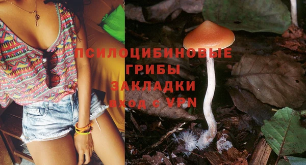 молекула духа Михайловка