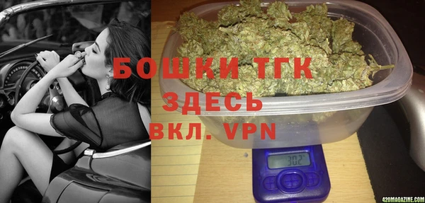 дмт Алексин
