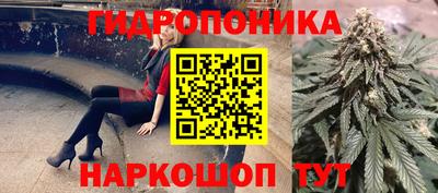 спайс Гагарин