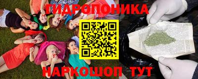 индика Балашиха