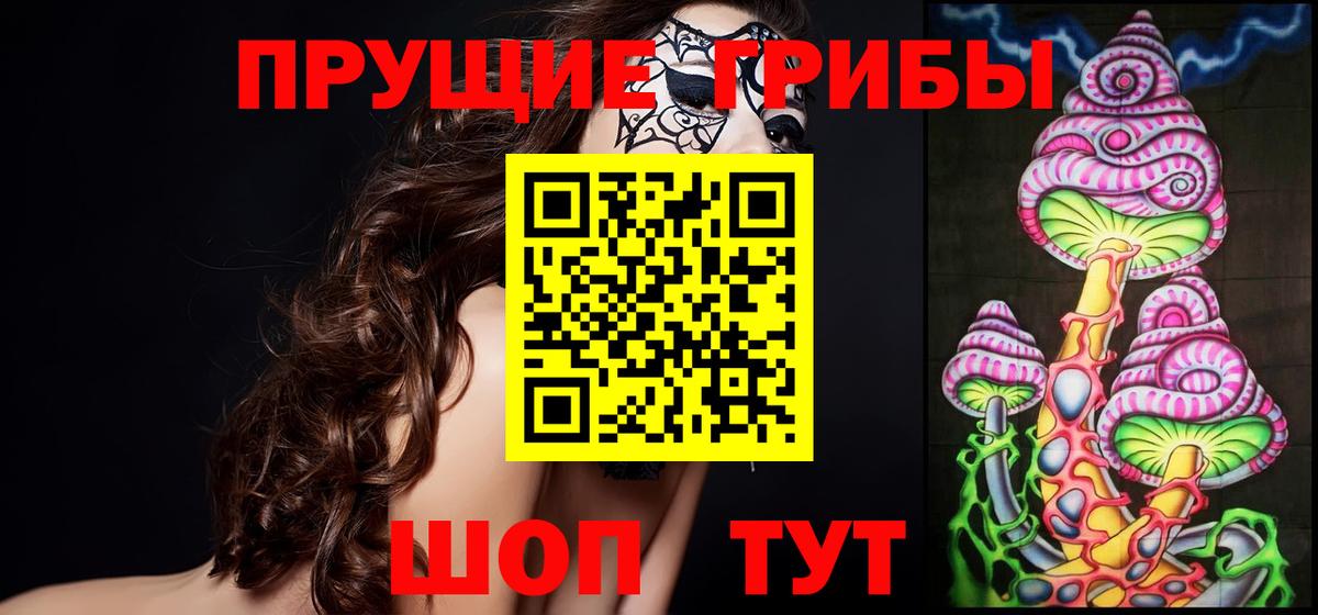 Галлюциногенные грибы ЛСД  как найти закладки  Всеволожск  Вход с VPN  Псилоцибиновые грибы Psilocybe 